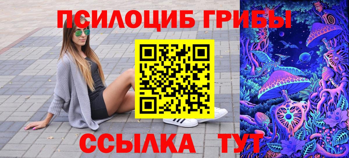 Прохладный  Псилоцибиновые грибы ЛСД  Вход с VPN 