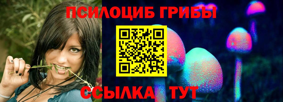 Псилоцибиновые грибы Psilocybine cubensis Прохладный